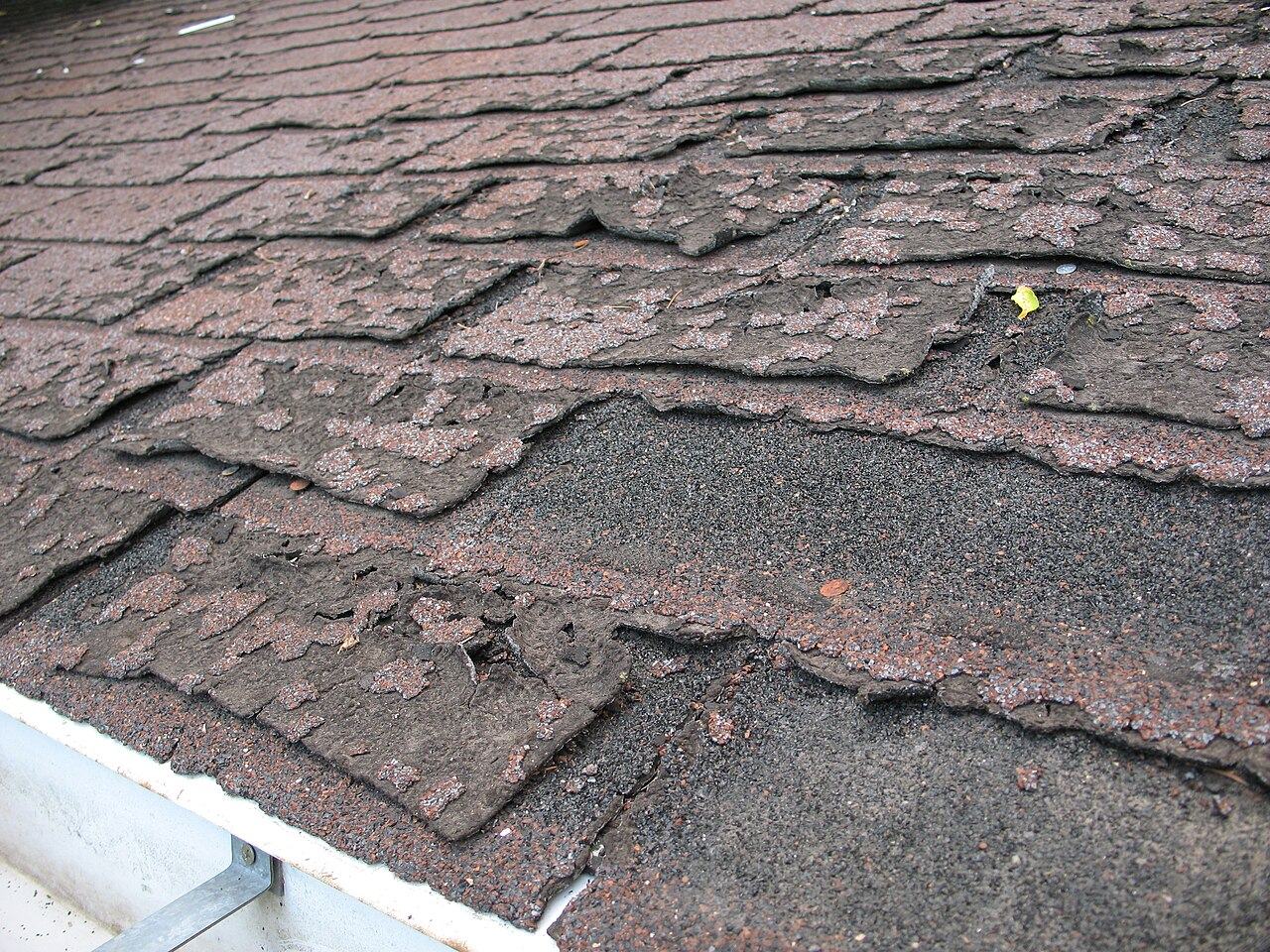 Asphalt shingles torn back to black underlayment